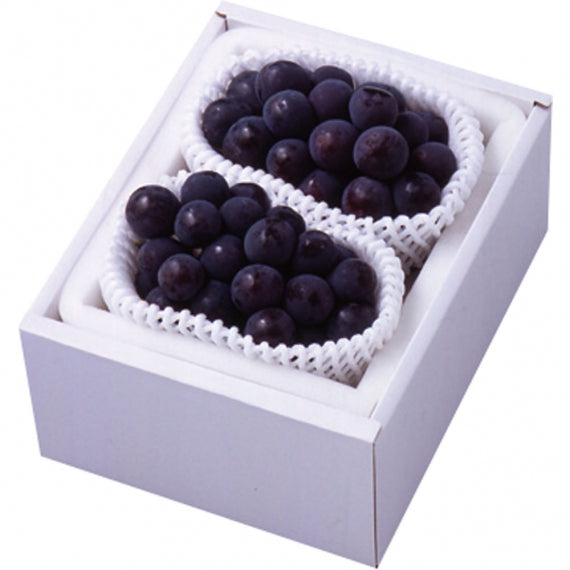 予約販売！「岡山県産」ニューピオーネ【赤秀】２房（1.2kg）【発送は８/20から】