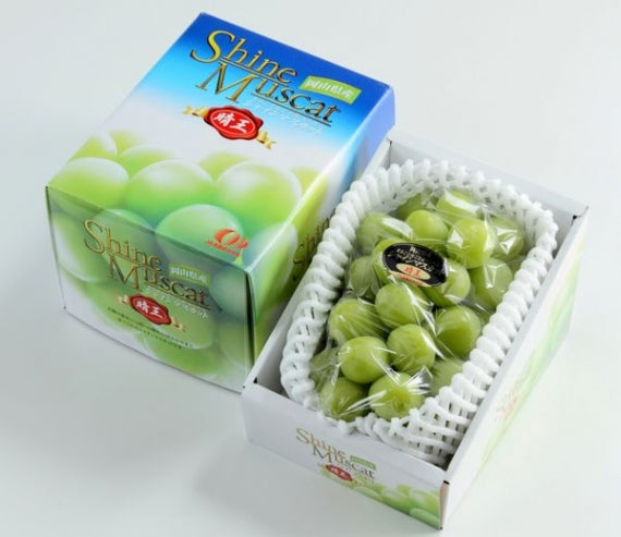 岡山県産 シャインマスカット【晴王】【特秀】1房（約700g）JA全農おかやま【発送は8/20から】