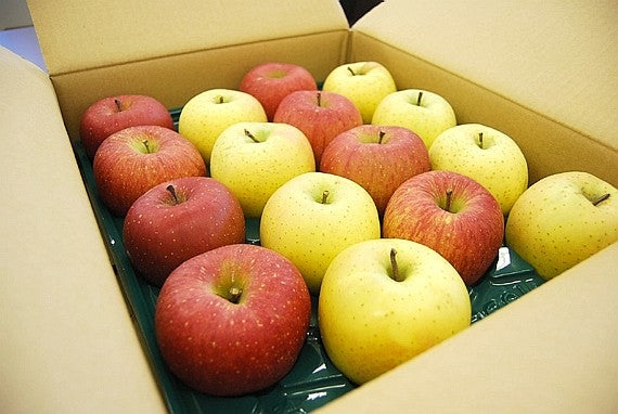 笹谷の完熟りんご詰合せ  【あじ撰（家庭用）-１６ｋｇ】送料無料【お歳暮2025】【フルーツ】