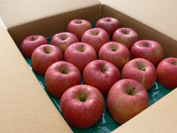 笹谷の完熟サンふじりんご【あじ撰（家庭用）-１６ｋｇ】送料無料【お歳暮2025】【フルーツ】