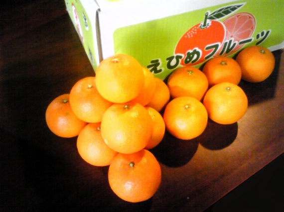 【販売終了】人気急上昇”愛果２８号（まどんな）”家庭用　約5kg　4Ｌ～Ｌ ｻｲｽﾞ指定不可