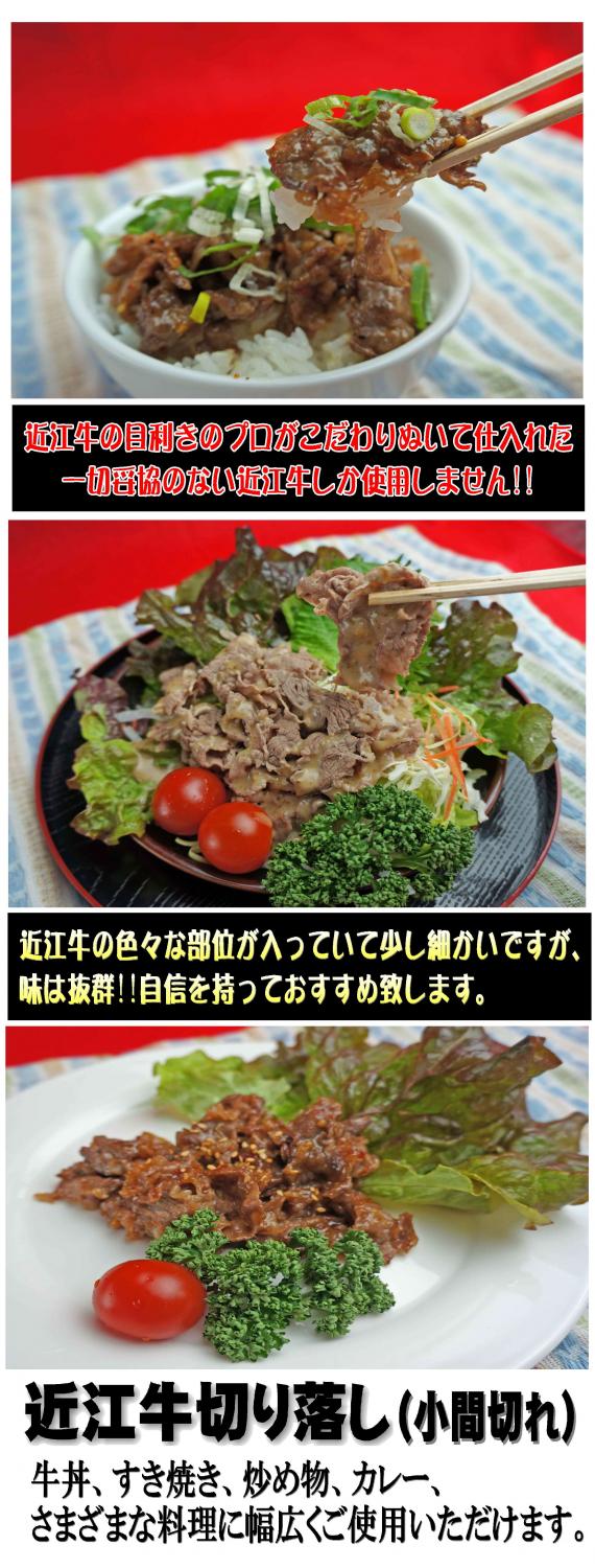 【小分けパックで使いやすい！】　近江牛切り落とし(小間切れ）　５００g（２5０ｇ×2）《冷凍便》