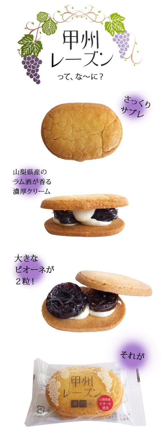 【山梨県産ピオーネ使用】●○甲州レーズン○●5個入り☆