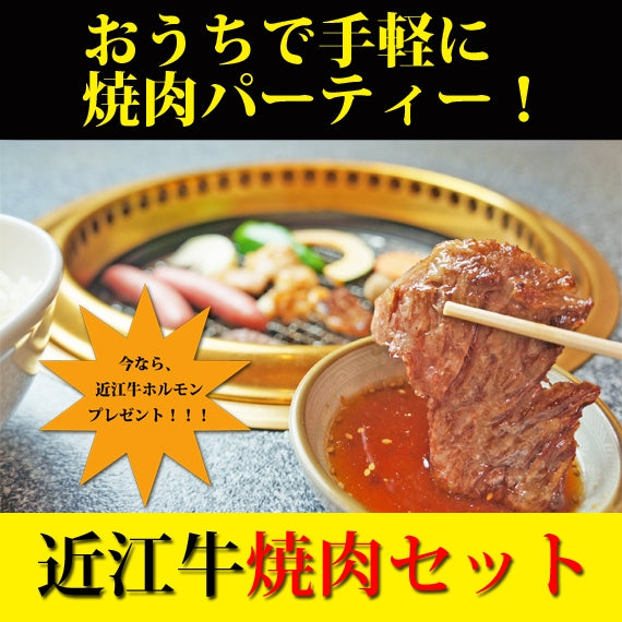 【近江牛ホルモンプレゼント！】 ◎近江牛焼肉◎　（３～４人前）　バラ＆赤身セット　合計６００g　《冷凍便》