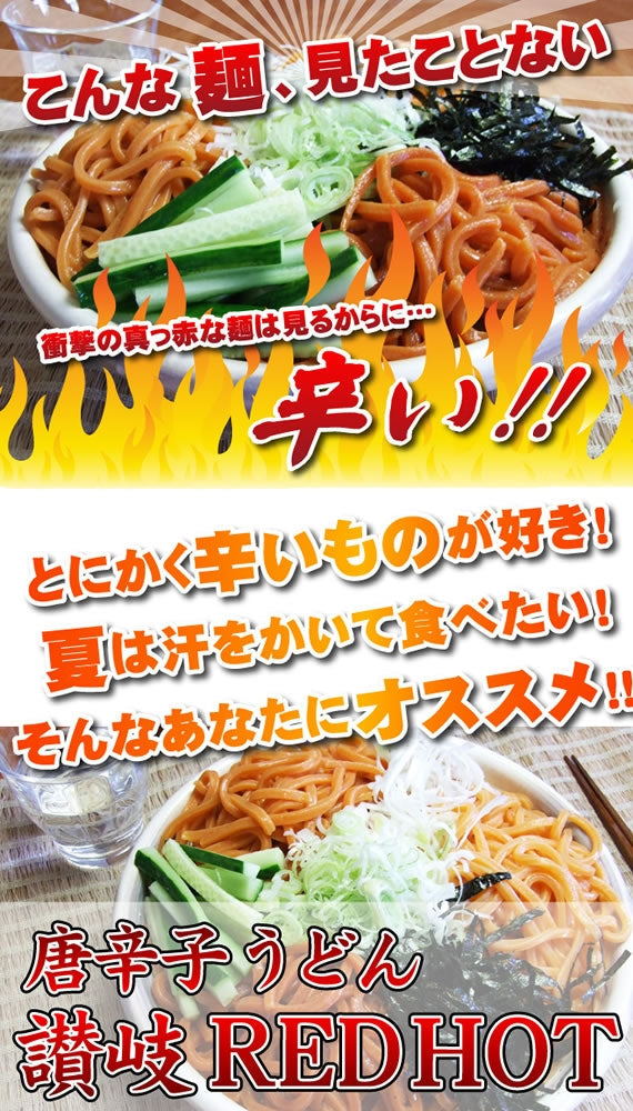 【スクール革命で紹介されました！】唐辛子うどん 讃岐REDHOT 辛さは3種類！メガ辛 ギガ辛 テラ辛【送料無料】 - ゆうメール発送【代金引換不可】 - 辛さのタイプ【テラ辛】