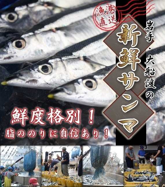 漁港直送！ 岩手・大船渡の新鮮サンマ 10尾 【送料込】但し、沖縄地方の方は送料を一部ご負担いただきます。