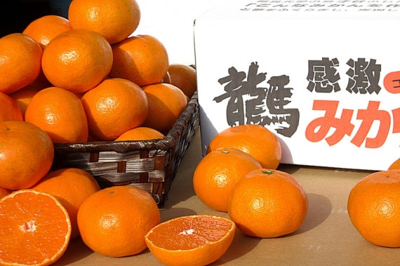 【こんなミカンを作るのが夢やった！】龍馬感激みかん（５キロギフト用）