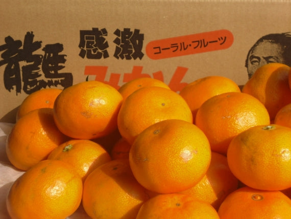 【わけあり家庭用】Lサイズ：龍馬感激みかん(家庭用５キロ）　やっぱり冬はミカンだね！：ノーワックス【送料無料一部地域を除く】