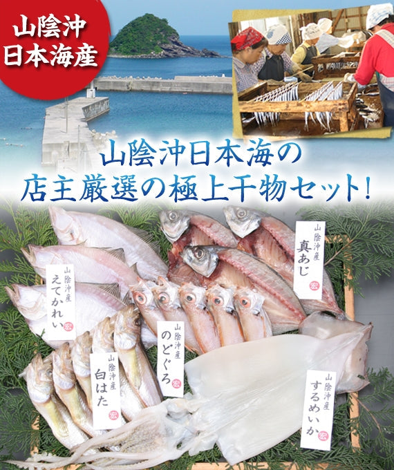 【日本海の恵みを山陰から】【送料無料】新鮮・豪華ひもの・だんだん５点セットA