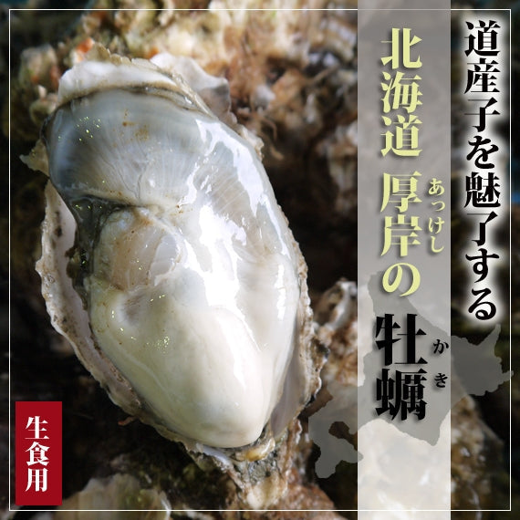 厚岸産 殻付き牡蠣（ＬＬサイズ）　30個入　カキナイフ付き（送料無料）