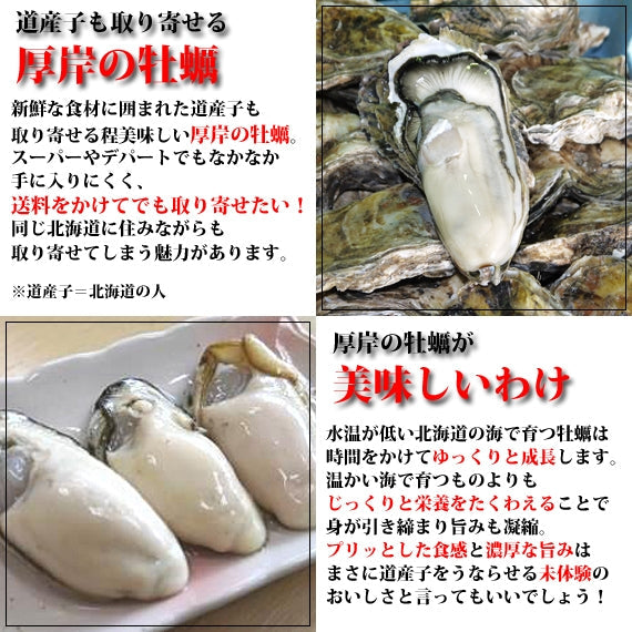 厚岸産 剥き牡蠣（生食用） 　５００ｇ入（送料無料）