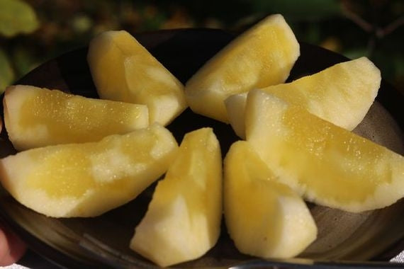 蜜がたっぷり！幻のリンゴ　「こうとく」【送料込み価格】