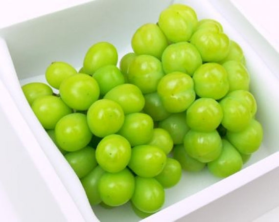 岡山特産「瀬戸ジャイアンツ」2房（約1kg）【赤秀】薄皮で皮ごと食べれて、しかも種無し!