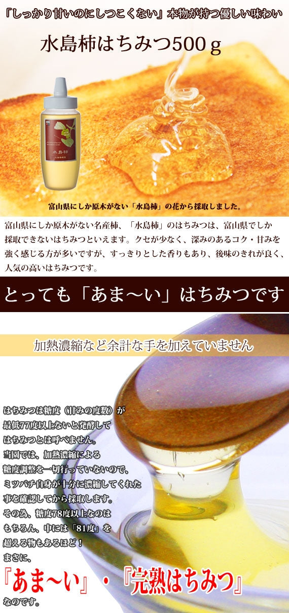 水島柿ハチミツ500gボトル （500g）