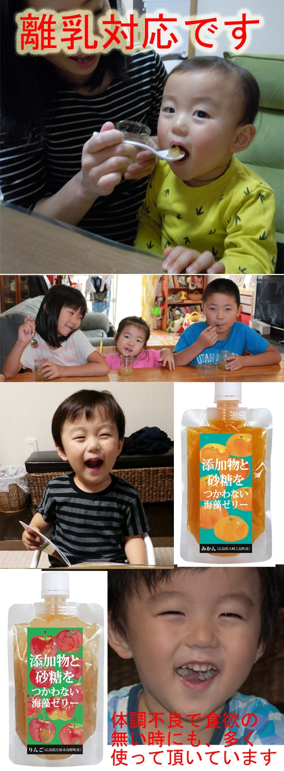 　手土産用　７種類セット箱入り　　　　 添加物と砂糖をつわない海藻ゼリー　