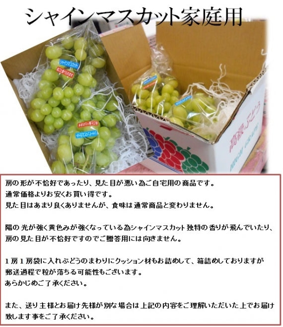 訳あり シャインマスカット 2.5㎏【地域限定送料込】【配送日は指定できません】