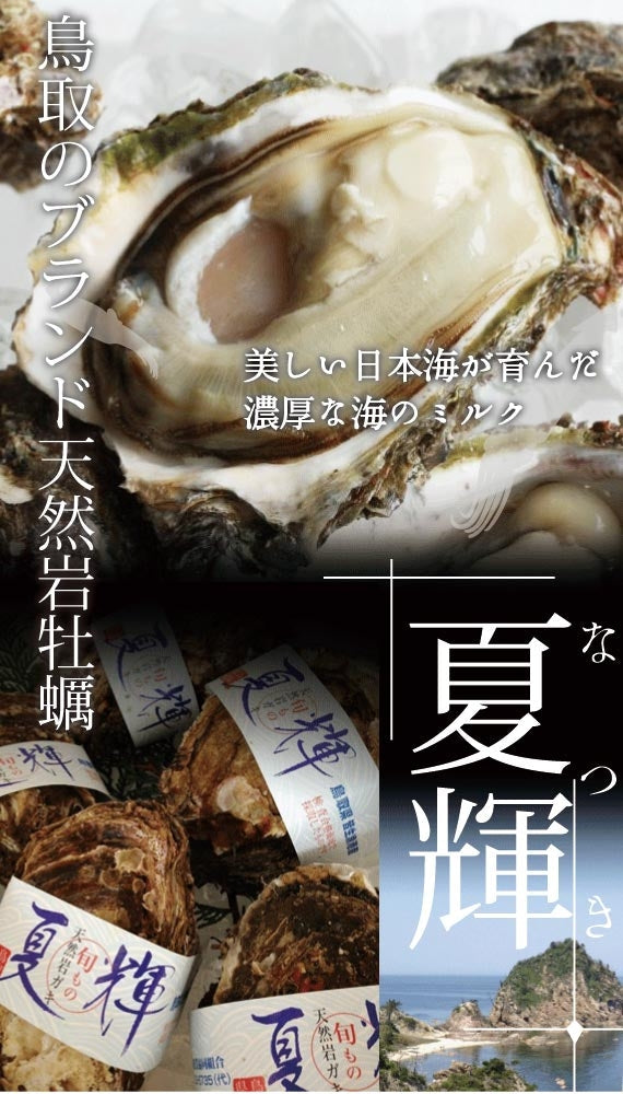 【極上ブランド「夏輝」】【天然の岩牡蠣】　漁師が素潜りで獲った天然岩牡蠣「夏輝」帯付　4個セット