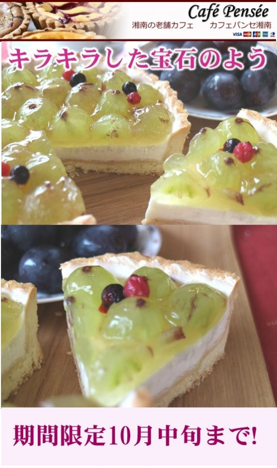 【季節限定】巨峰たっぷりの巨峰のレアチーズタルト（6号18cm900g）