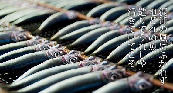 【メルマガ会員限定☆25％OFF】旬のメヒカリ、日向灘の恵みセット【9/8～9/14の7日間のみ】