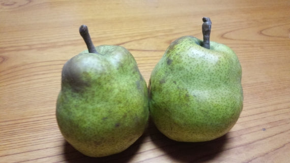 【送料無料※本州のみ※・手数料込】農家直送　山形県産　ラフランス ３kg 　３Ｌ（９玉）または４Ｌ（８玉）サイズ