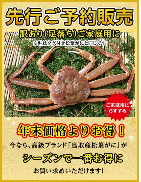 【先行ご予約販売】【鳥取賀露港直送】　松葉がに（オチ大中・生) 600g以上