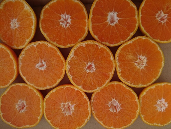 【龍馬感激🄬みかん】【贈答用！】【たっぷり5キロ箱約40～60個入り】（送料無料一部地域を除く）【フルーツ】【冬ギフト】