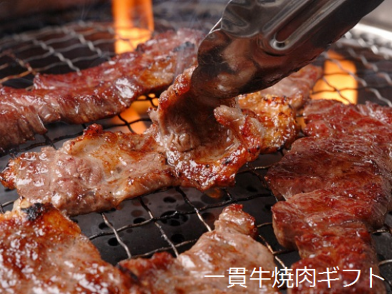 阿波牛のきわみ　一貫牛　しもふり焼き肉用　500ｇ