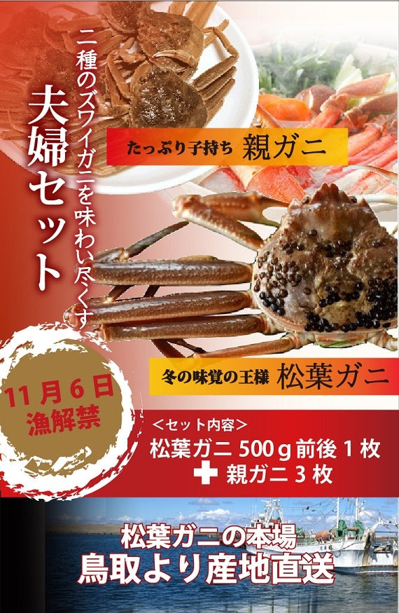 松葉ガニ漁解禁！　夫婦セット　松葉ガニ（中）1枚＆親ガニ3枚　【生／茹で】