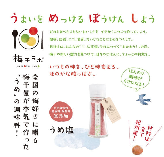 うめ塩/梅塩/調味料/フリーズドライ/無添加/石神邑