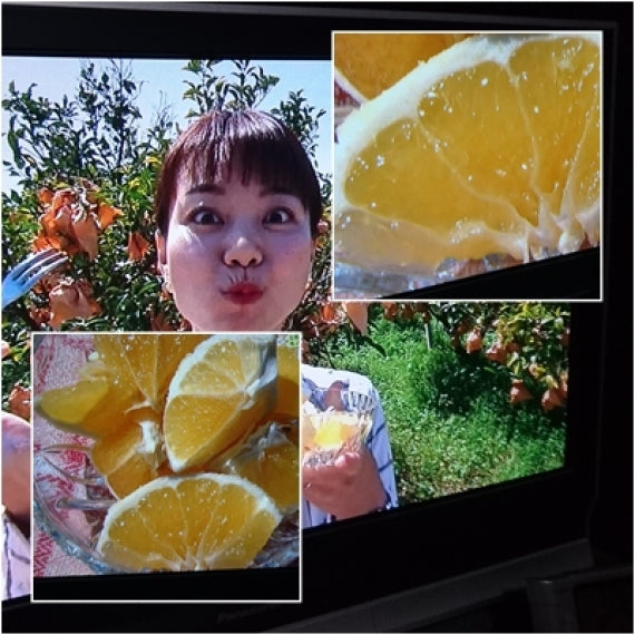 【食べ応えありの大きめ】有機肥料で作った「冷やし小夏」（たっぷり5キロ：24～26個入り）【多少キズ有りのお徳用】《送料無料一部地域を除く》