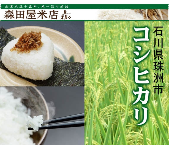 【令和5年産】石川県珠洲市コシヒカリ 世界遺産の米＜減農薬＞5kg
