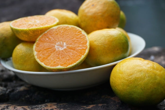 予約受付中！10/9より発送予定【秋のみかん】ギフト可！採りたて（４kg箱40～50個）酸味少なめミカンらしいお味です！送料無料一部地域除く・【レギュラー選別】