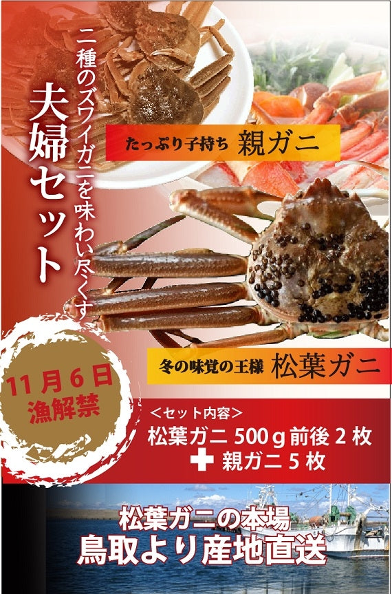 松葉ガニ漁解禁！　夫婦セット　松葉ガニ（中）2枚＆親ガニ5枚　【生／茹で】