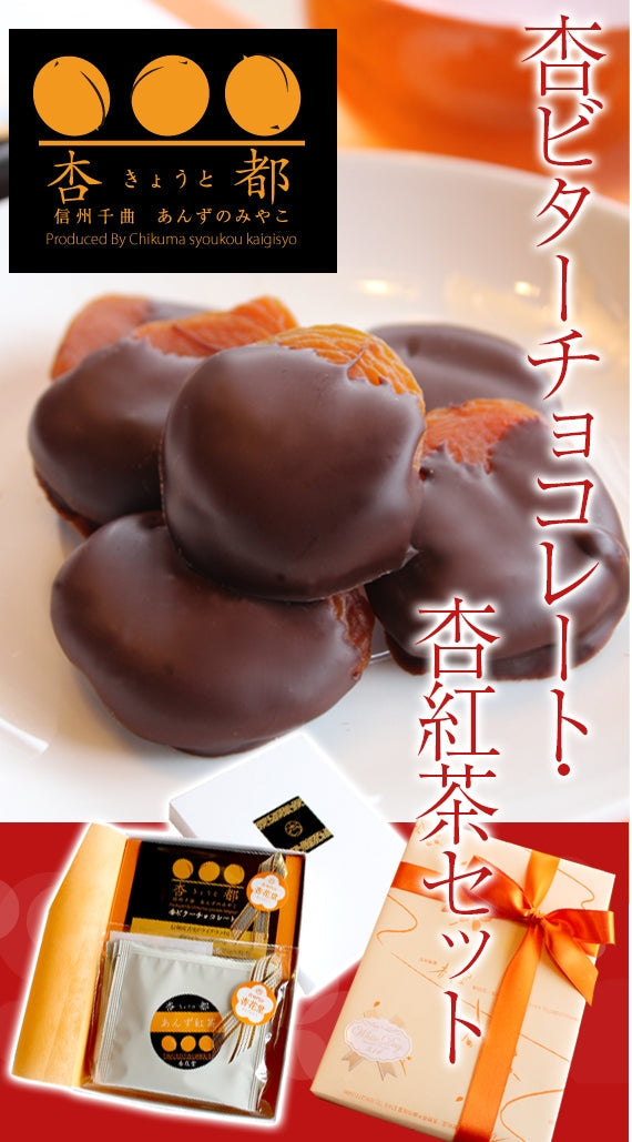 【期間限定11月～3月】【信州産】杏専門店が作る大人の【杏ビターチョコレート・あんず紅茶】セット【スイーツ】