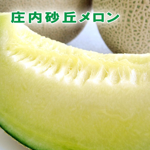 【7月中旬～8月上旬お届け】山形庄内砂丘メロン（青肉）5L×4玉または4L×5玉