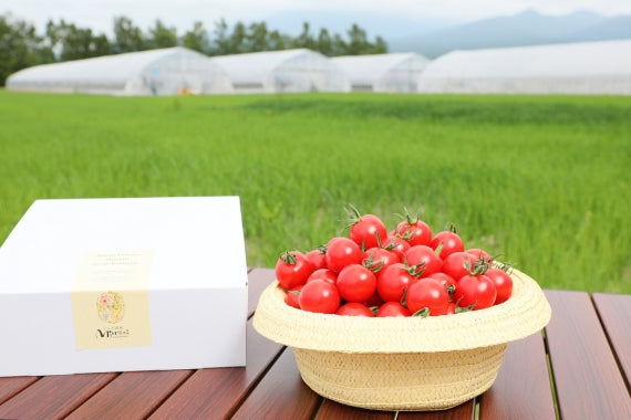 南麓郷の赤い果実　１．２５ＫＧ　ミナミ赤のみ簡易ＢＯＸ　着日指定不可です。【2025年8月頃販売開始予定】