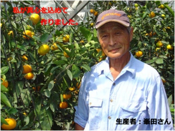 【販売中】■ご家庭用■「愛媛特産」味自慢ハウスみかん5ｋｇ（小～大サイズ混ざり）