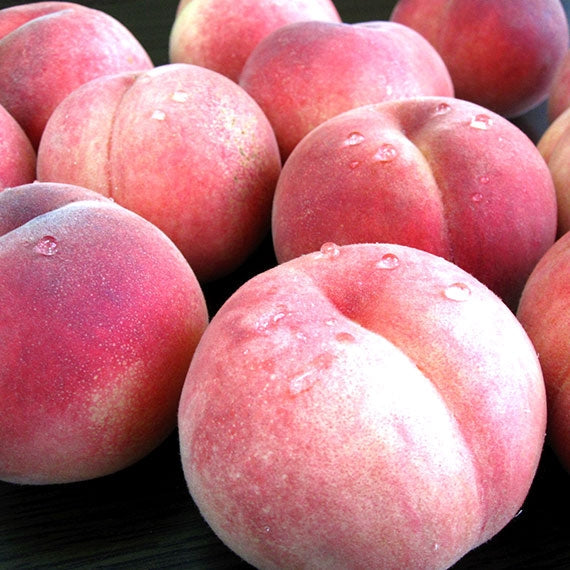 産地直送！山形県産 桃　ご家庭用3Kg【8月中旬～9月下旬のお届け】