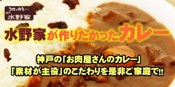 【送料込み】水野家が作りたかったカレー　6パックセット