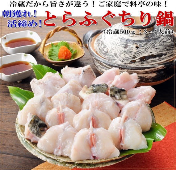 お歳暮 ギフト 【送料無料】朝獲れ活締め！冷蔵とらふぐちり鍋セット（3～4人用）