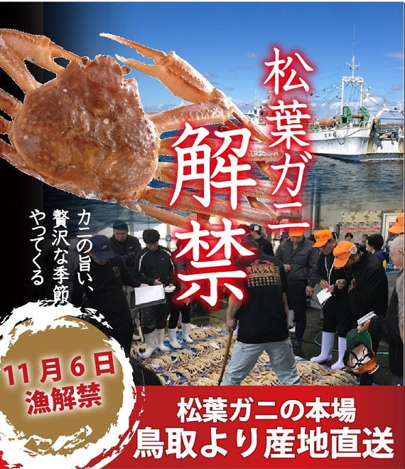 松葉ガニ漁解禁！　親ガニ（セコガニ）10枚セット【生／茹で】