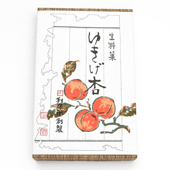 ゆきげ杏箱（2個入）　信州長野市のお土産