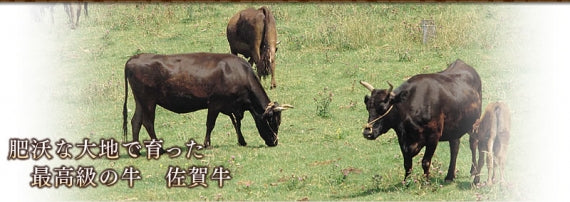 【送料無料】佐賀牛ステーキ食べ比べ2枚入り