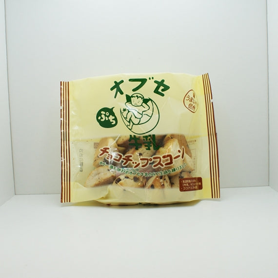 オブセ牛乳チョコチップスコーン　信州長野のお土産　焼菓子