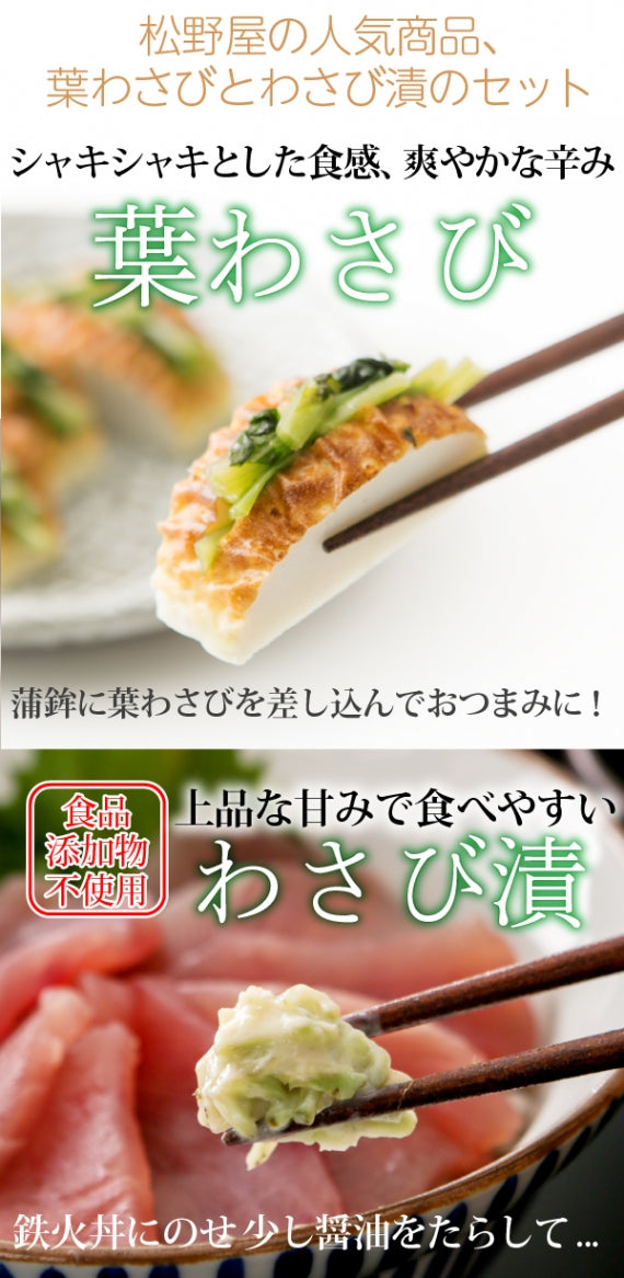 【送料込み】葉わさびとわさび漬のセット