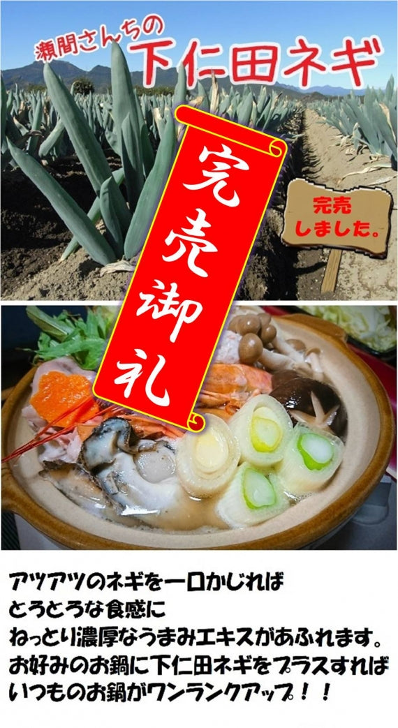 大好評！ 群馬県下仁田産【瀬間さんちの下仁田ネギ】(約15本）冬の味覚殿様ネギを数量限定で