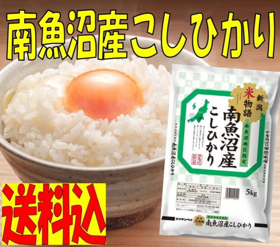 令和6年産　南魚沼産こしひかり（南魚沼地区限定）　5kg
