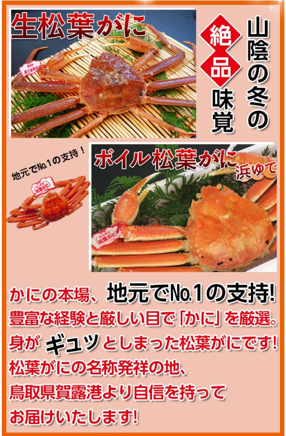 【鳥取賀露港直送】　松葉がに（中・ボイル)500g以上