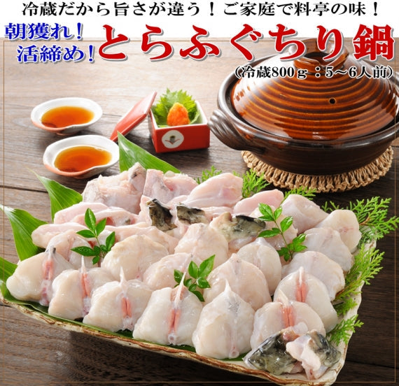 お歳暮 ギフト 【送料無料】朝獲れ活締め！冷蔵とらふぐちり鍋セット（5～6人用）