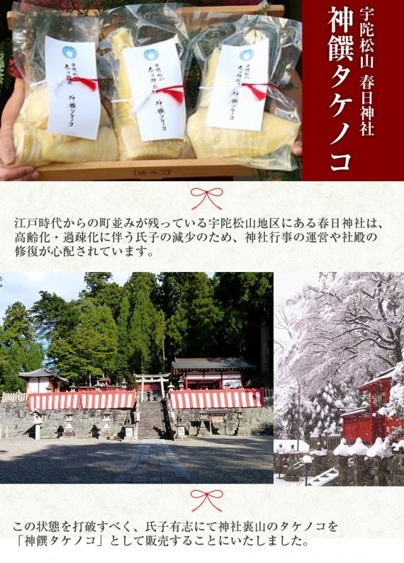 【予約受付】神饌タケノコ 1kg　【売上は春日神社に寄進いたします】